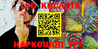дмт Новозыбков