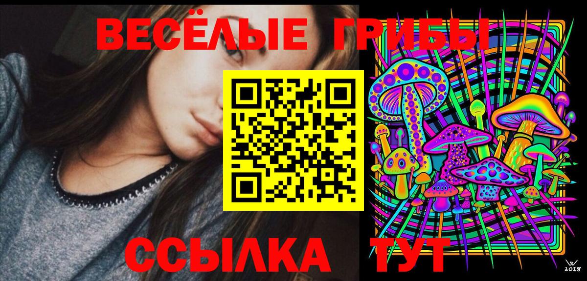 Псилоцибиновые грибы прущие грибы Сосновый Бор